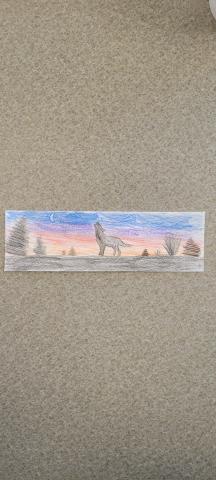 sunset bookmark submission