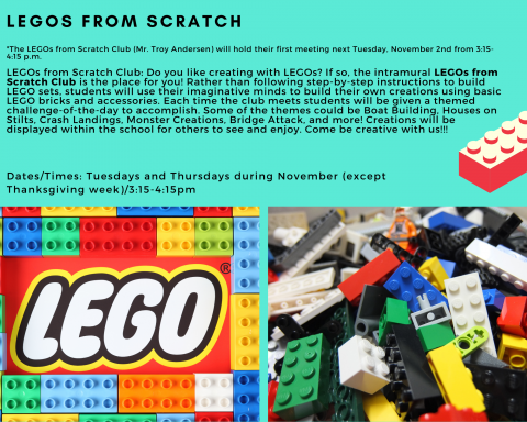 Lego flyer, all information typed in above information