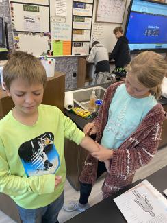 7th graders exploring nervous system